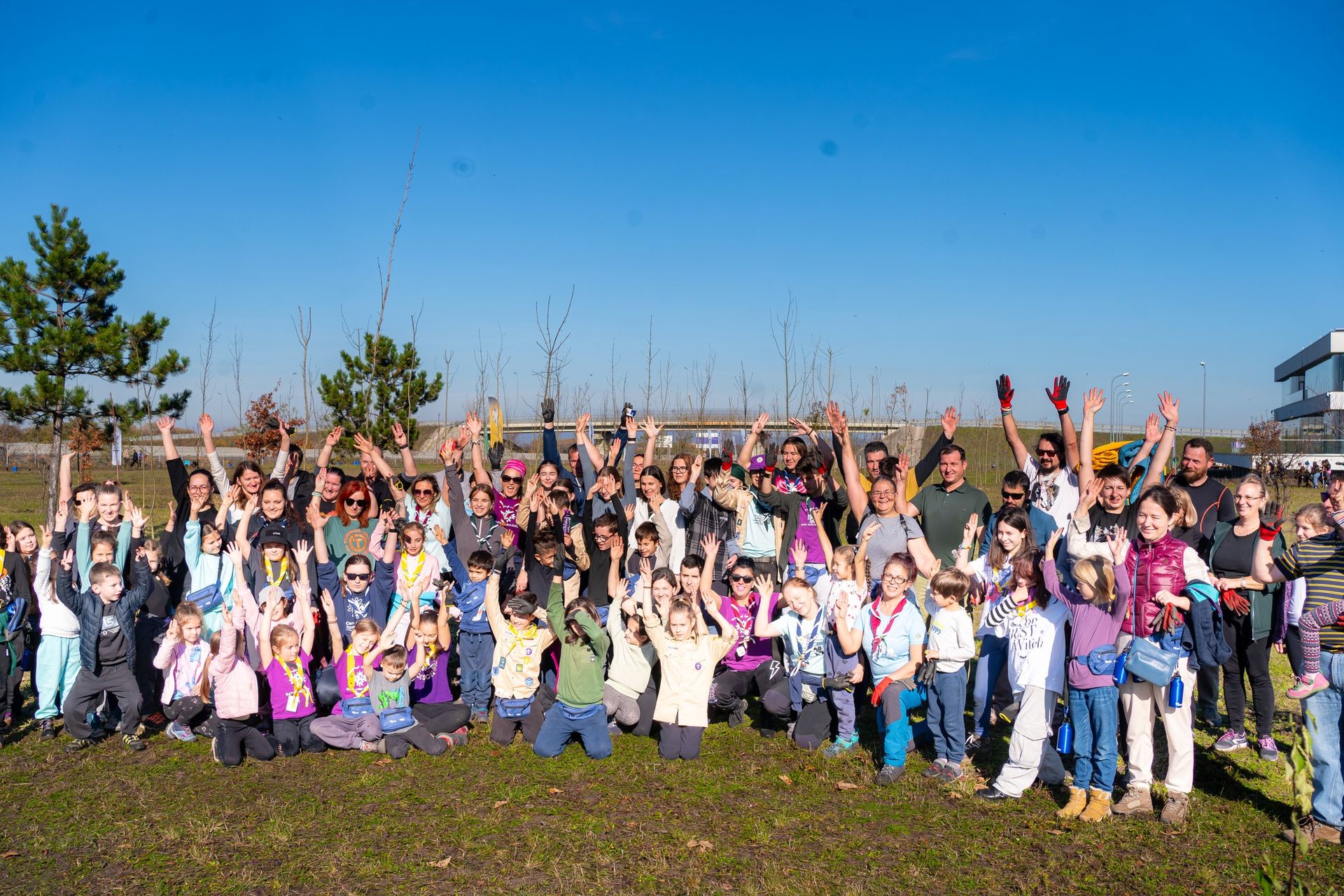 Pădurea Electrica Furnizare